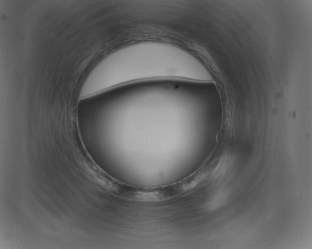 X0000081470457200701121020