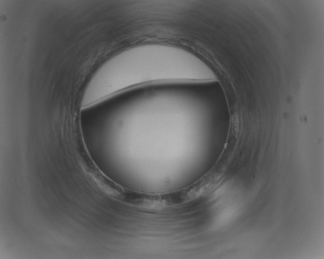 X0000081470458200701121020
