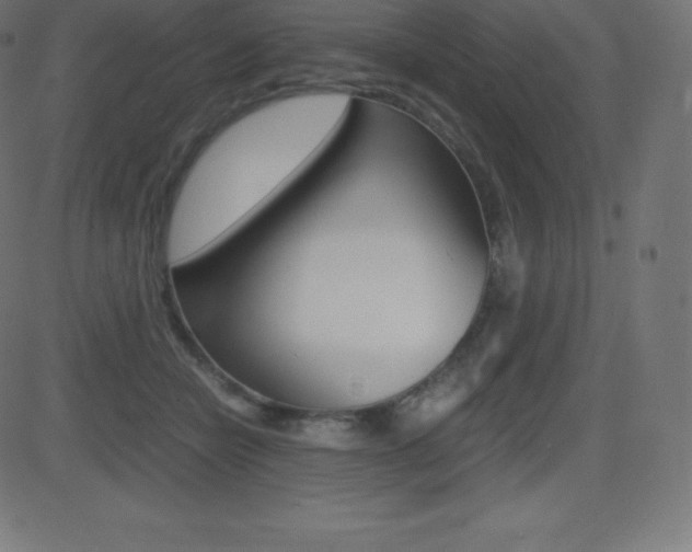 X0000081470462200701121020