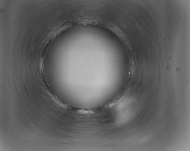 X0000081470477200701121020