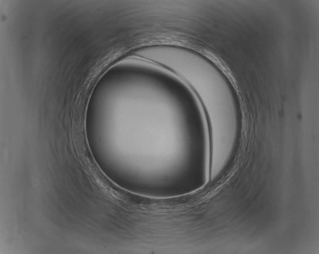 X0000081470481200701121019