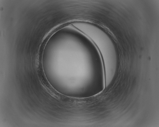 X0000081470484200701121019