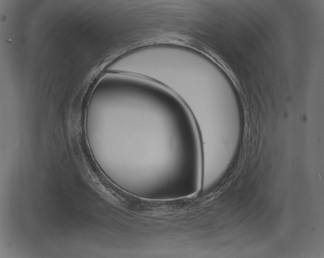 X0000081470485200701121019