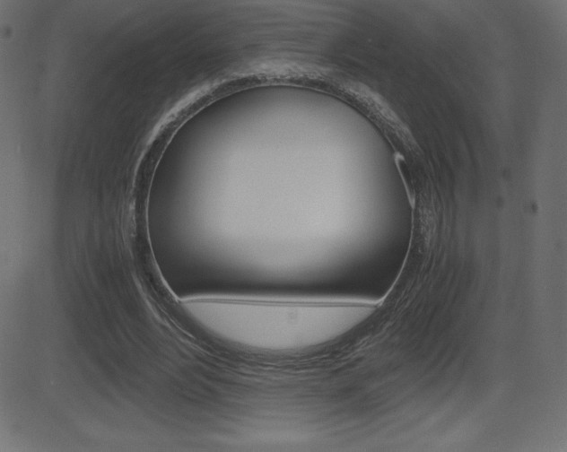 X0000081470488200701121019