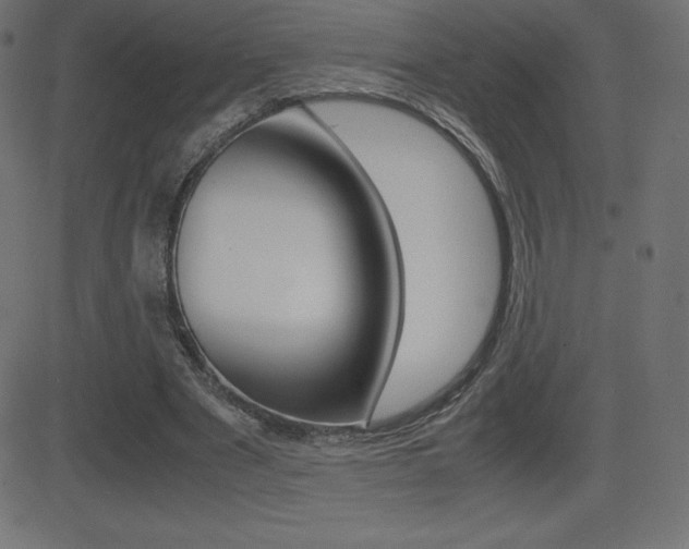 X0000081470489200701121019