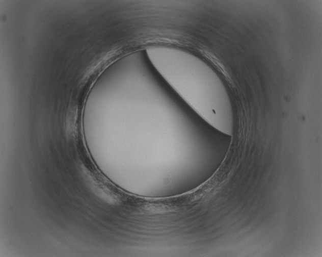 X0000081470490200701121019