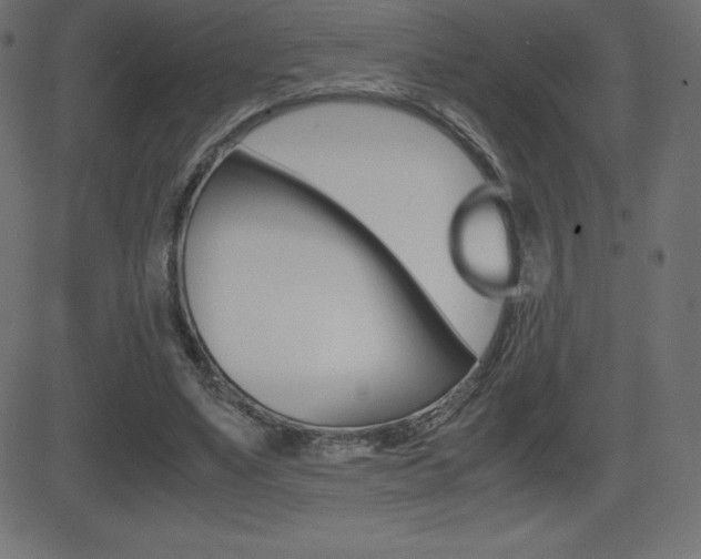 X0000081470491200701121019