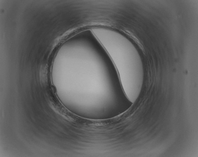 X0000081470492200701121019