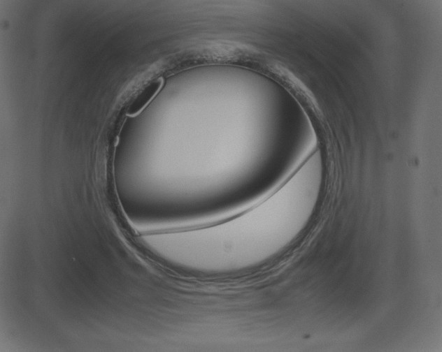 X0000081470493200701121019