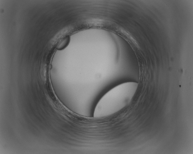X0000081470494200701121019