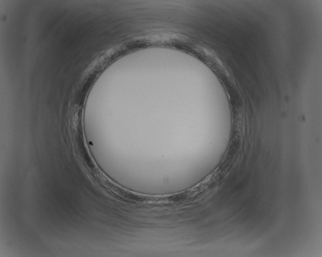 X0000081470495200701121019