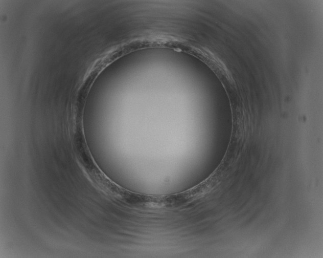X0000081470496200701121019