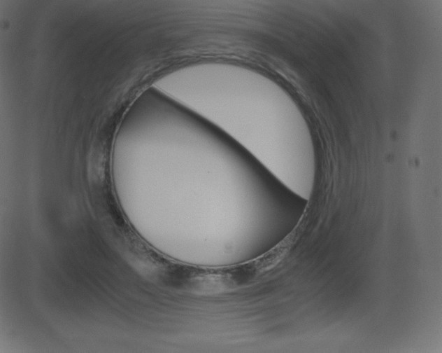 X0000081470499200701121019