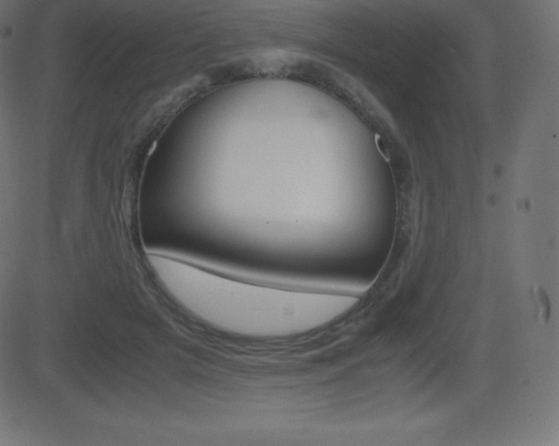 X0000081470505200701121019