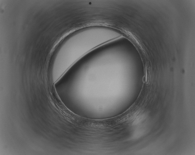 X0000081470531200701121018
