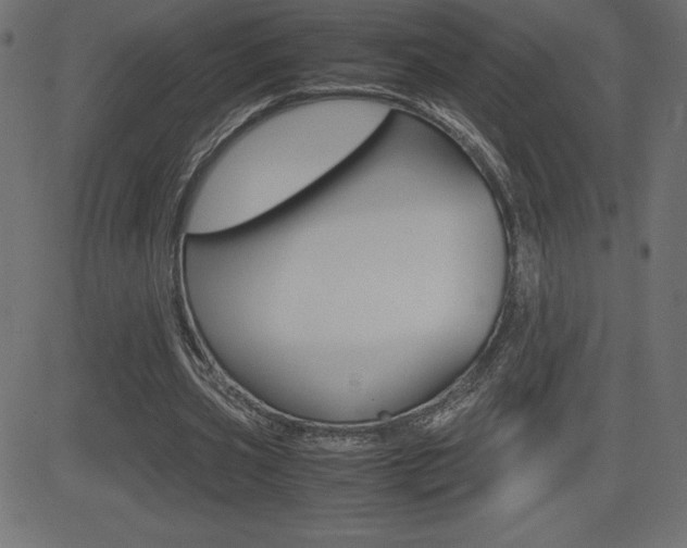 X0000081470533200701121018