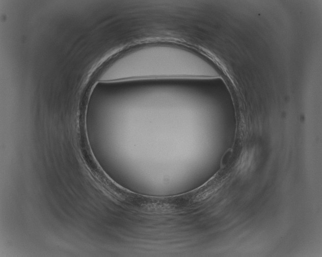 X0000081470535200701121018