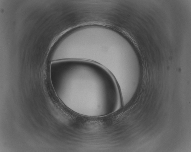 X0000081470536200701121018
