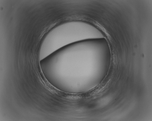 X0000081470537200701121018