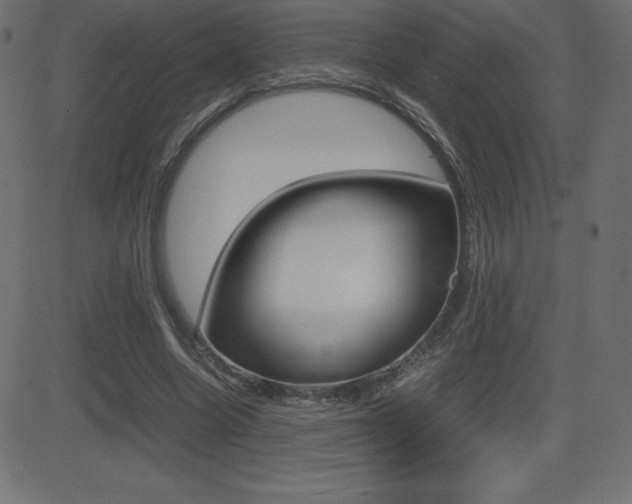 X0000081470538200701121018