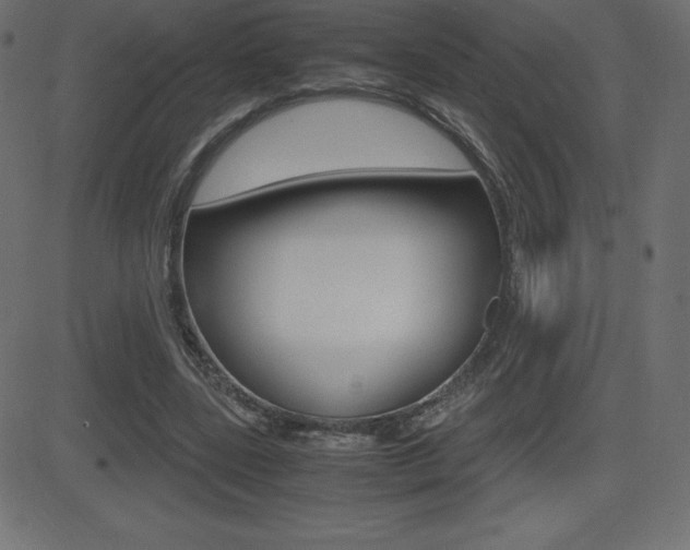 X0000081470539200701121018