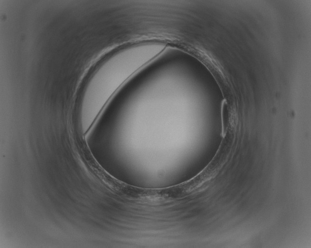 X0000081470540200701121018