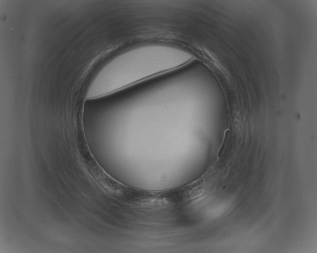 X0000081470543200701121018