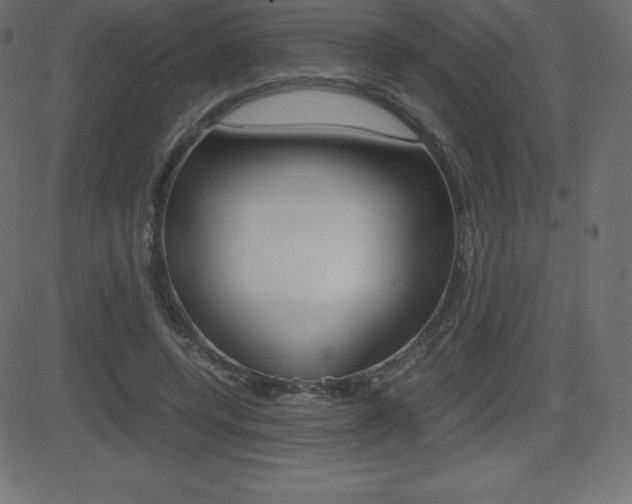 X0000081470544200701121018