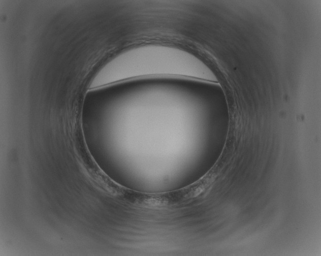 X0000081470546200701121018