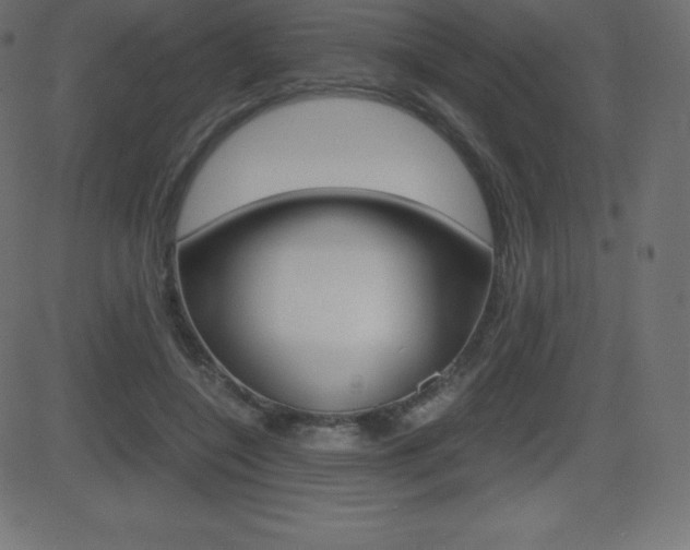 X0000081470548200701121018
