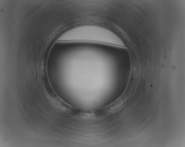 X0000081470552200701121018