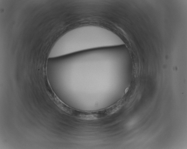 X0000081470553200701121018