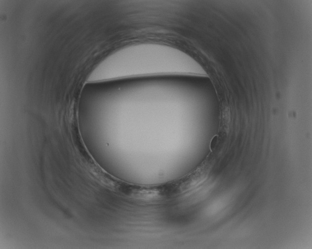 X0000081470554200701121018