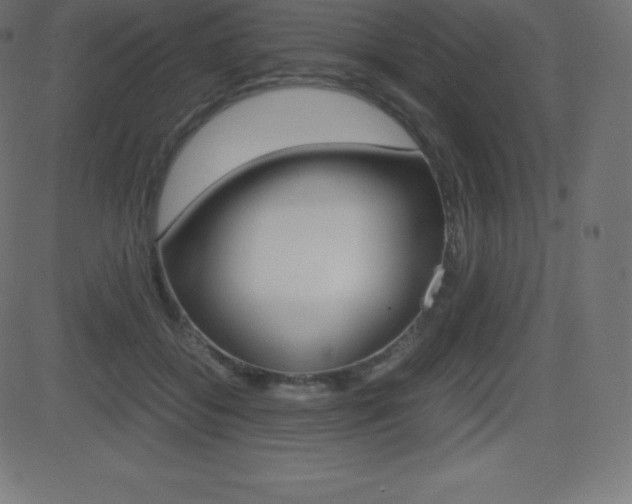 X0000081470556200701121018