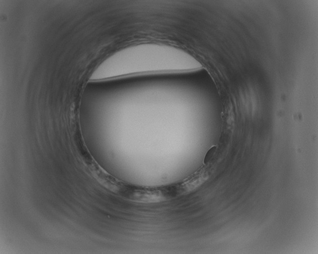 X0000081470559200701121018