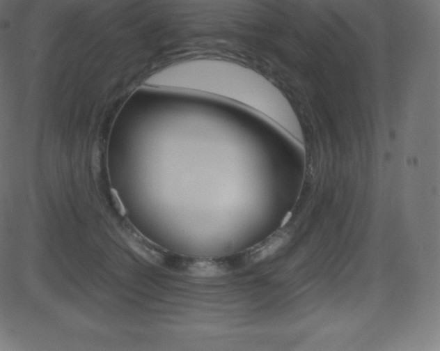 X0000081470562200701121018