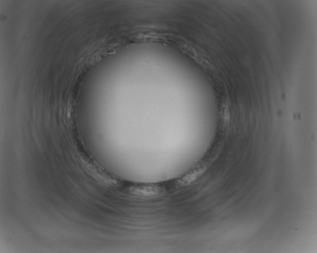 X0000081470567200701121018