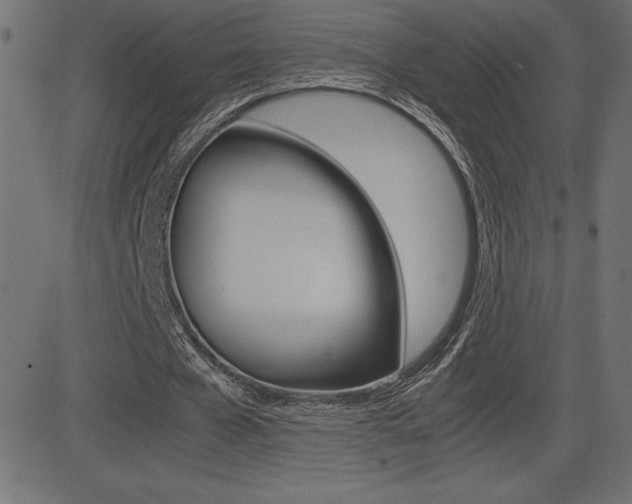 X0000081470577200701121018