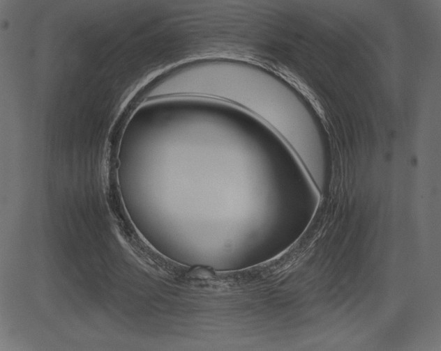 X0000081470580200701121018