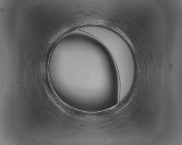 X0000081470581200701121018