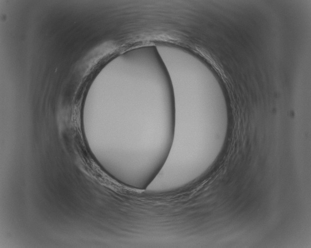 X0000081470583200701121018