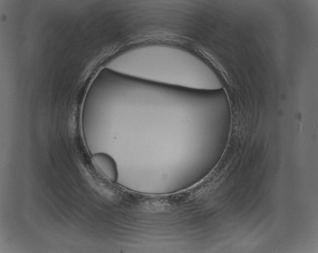 X0000081470586200701121018