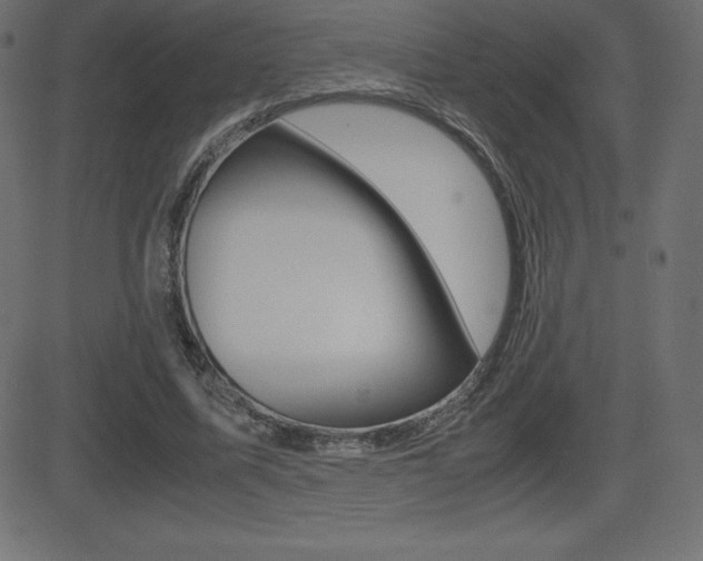 X0000081470587200701121018