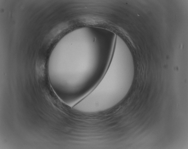 X0000081470596200701121018