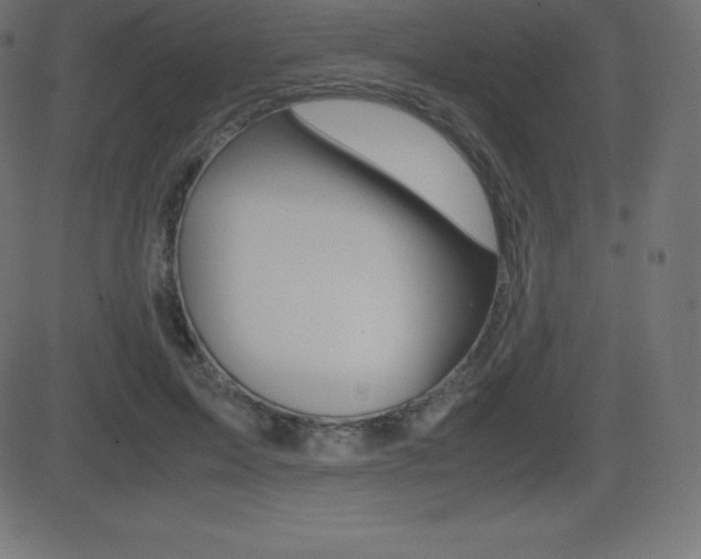 X0000081470599200701121017