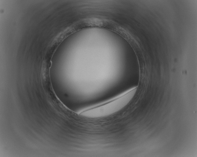 X0000081470600200701121017