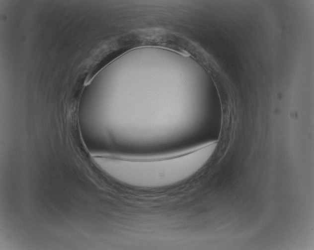 X0000081470601200701121017