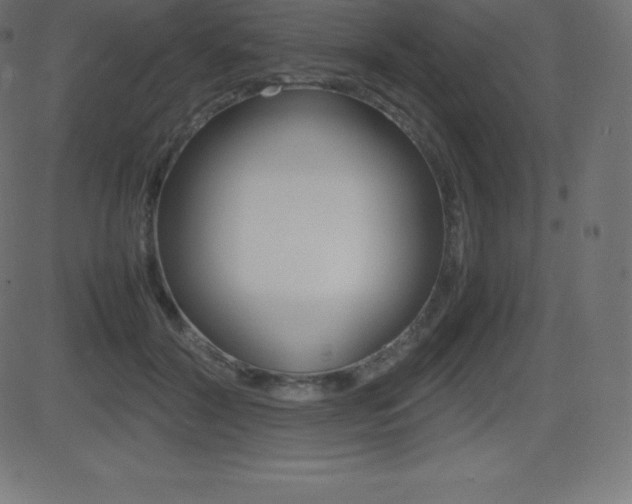 X0000081470604200701121017