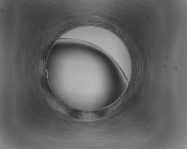 X0000081470605200701121017