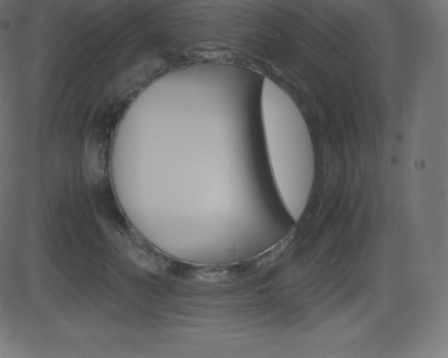 X0000081470606200701121017